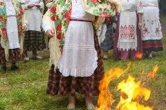781A3556 mn